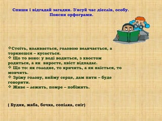 Спиши і відгадай загадки. З'ясуй час дієслів, особу.
                 Поясни орфограми.




Стоїть, коливається, головою величається, а
торкнешся – кусається.
 Що то воно: у воді водиться, з хвостом
родиться, а як виросте, хвіст відпадає.
 Що то: як голодне, то кричить, а як наїсться, то
мовчить.
 Зріжу голову, вийму серце, дам пити – буде
говорити.
 Живе – лежить, помре – побіжить.



( Будяк, жаба, бочка, сопілка, сніг)
 