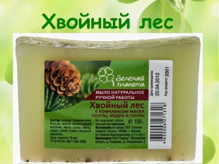 Хвойный лес
 