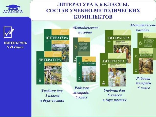 Академия Электронный Учебник По Литературе 5 Класс Сухих - zavodidentity