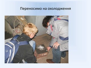 Переносимо на охолодження
 