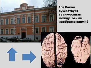 13) Какая
существует
взаимосвязь
между этими
изображениями?
 