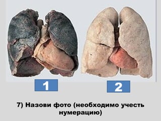 1                  2
7) Назови фото (необходимо учесть
           нумерацию)
 
