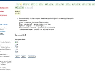 профи от 2012