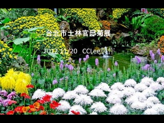 台北市士林官邸菊展

2012 11/20 CCLee製作
 