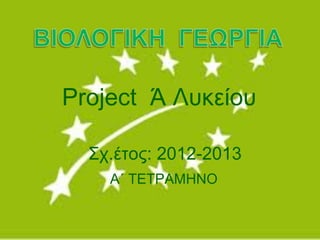 Project Ά Λυκείου

  Σχ.έτος: 2012-2013
    Α΄ ΤΕΤΡΑΜΗΝΟ
 