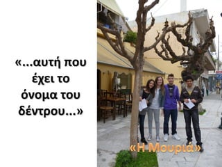 «...αυτή που«...αυτή που
έχει τοέχει το
όνομα τουόνομα του
δέντρου...»δέντρου...»
 