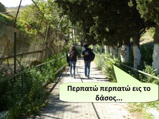 Περπατώ περπατώ εις το
δάσος...
Περπατώ περπατώ εις το
δάσος...
 
