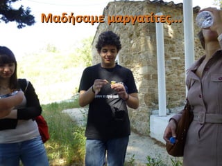 Μαδήσαμε μαργατίτες...Μαδήσαμε μαργατίτες...
 