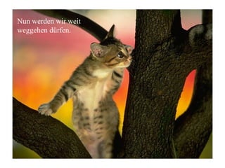 Nun werden wir weit
weggehen dürfen.
 