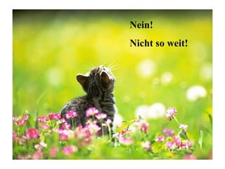 Nein!
Nicht so weit!
 