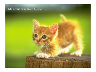 Man muß wachsam bleiben.
 