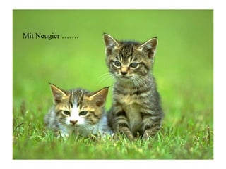 Tierische Neujahrswünsche
