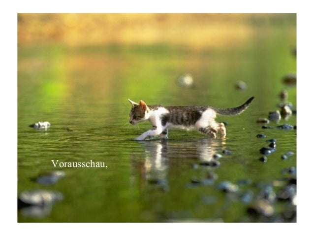 Tierische Neujahrswünsche