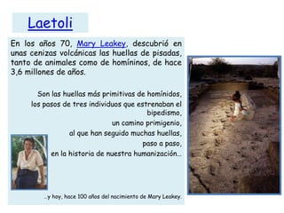 Laetoli
En los años 70, Mary Leakey, descubrió en
unas cenizas volcánicas las huellas de pisadas,
tanto de animales como de homíninos, de hace
3,6 millones de años.

       Son las huellas más primitivas de homínidos,
     los pasos de tres individuos que estrenaban el
                                         bipedismo,
                               un camino primigenio,
                 al que han seguido muchas huellas,
                                        paso a paso,
           en la historia de nuestra humanización…




         …y hoy, hace 100 años del nacimiento de Mary Leakey.
 
