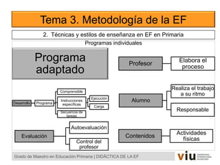 Programas individuales
Tema 3. Metodología de la EF
Grado de Maestro en Educación Primaria | DIDÁCTICA DE LA EF
Programa
adaptado
Alumno
Realiza el trabajo
a su ritmo
Responsable
Profesor
Elabora el
proceso
Desarrollo Programa
Comprensible
Instrucciones
específicas
Ejecución
Carga
Secuencia de
tareas
2. Técnicas y estilos de enseñanza en EF en Primaria
Contenidos
Actividades
físicas
Evaluación
Autoevaluación
Control del
profesor
 
