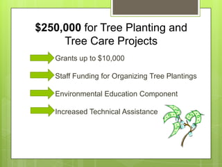 $250,000 for Tree Planting and
     Tree Care Projects
   Grants up to $10,000

   Staff Funding for Organizing Tree Plantings

   Environmental Education Component

   Increased Technical Assistance
 