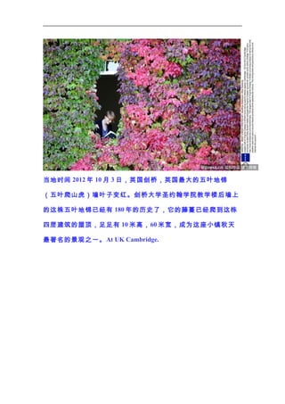 当地时间 2012 年 10 月 3 日，英国剑桥，英国最大的五叶地锦
（五叶爬山虎）墙叶子变红。剑桥大学圣约翰学院教学楼后墙上
的这株五叶地锦已经有 180 年的历史了，它的藤蔓已经爬到这栋
四层建筑的屋顶，足足有 10 米高， 60 米宽，成为这座小镇秋天
最著名的景观之一。 At UK Cambridge.

 