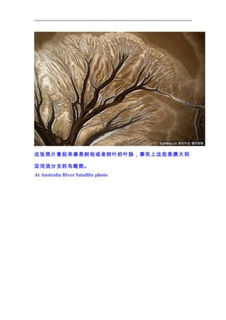这张照片看起来像是树枝或者树叶的叶脉，事实上这些是澳大利
亚河流分支的鸟瞰图。
At Australia River Satallite photo

 
