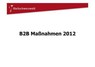 B2B Maßnahmen 2012
 