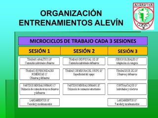 ORGANIZACIÓN
ENTRENAMIENTOS ALEVÍN
SESIÓN 1 SESIÓN 2 SESIÓN 3
MICROCICLOS DE TRABAJO CADA 3 SESIONES
 