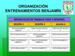 ORGANIZACIÓN
ENTRENAMIENTOS BENJAMÍN
SESIÓN 1 SESIÓN 2 SESIÓN 3
MICROCICLOS DE TRABAJO CADA 3 SESIONES
 