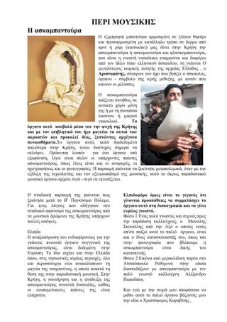 ΠΕΡΙ ΜΟΥΣΙΚΗΣ
Η ασκομπαντούρα
Η τζιμπραγιά μπαντούρα αρμοσμένη σε ξύλινο θηκάρι
και προσαρμοσμένη με κατάλληλο τρόπο σε δέρμα από
αρνί ή ρίφι (κατσικάκι) μας δίνει στην Κρήτη την
ασκομπαντούρα ή ασκομαντούρα και φλασκομπαντούρα,
που είναι η γνωστή νησιώτικη τσαμπούνα και διαφέρει
από τον άλλο τύπο ελληνικού άσκαυλου, τη γκάιντα Ο
μεγαλύτερος κωμικός ποιητής της αρχαίας Ελλάδας , ο
Αριστοφάνης, σύγκρινε τον ήχο που βγάζει ο άσκαυλος,
όργανο - σύμβολο της ιερής μέθεξης, με αυτόν που
κάνουν οι μέλισσες.
Η ασκομπαντούρα
παίζεται συνήθως σε
ανοικτό χώρο μόνη
της ή με τη συνοδεία
λαούτου ή μικρού
νταουλιού. Το
όργανο αυτό κουβαλά μέσα του την ψυχή της Κρήτης
και με τον επιβλητικό του ήχο μαγεύει τα αυτιά των
ακροατών και προκαλεί δέος, ξυπνώντας αρχέγονα
συναισθήματα.Το όργανο αυτό, πολύ διαδεδομένο
παλιότερα στην Κρήτη, τείνει δυστυχώς σήμερα να
εκλείψει.. Πρόκειται λοιπόν για ένα όργανο υπό
εξαφάνιση, λίγοι είναι πλέον οι υπάρχοντες παίκτες
ασκομαντούρας, όπως λίγες είναι και οι αναφορές, οι
ηχογραφήσεις και οι φωτογραφίες. Η παρακμή φαίνεται να ξεκίνησε μεταπολεμικά, όταν με την
εξέλιξη της τεχνολογίας και τον εξευρωπαϊσμό της μουσικής, αυτό το άκρως παραδοσιακό
μουσικό όργανο άρχισε σιγά - σιγά να εκτοπίζεται.
Η σταδιακή παρακμή της φαίνεται πως
ξεκίνησε μετά το Β’ Παγκόσμιο Πόλεμο.
Για τους λόγους που οδήγησαν στο
σταδιακό αφανισμό της ασκομαντούρας από
τα μουσικά δρώμενα της Κρήτης υπάρχουν
πολλές απόψεις.
Ελπίδα
Η αναζωπύρωση του ενδιαφέροντος για την
γκάιντα, πνευστό όργανο συγγενικό της
ασκομαντούρας, είναι δεδομένη στην
Ευρώπη. Το ίδιο ισχύει και στην Ελλάδα
όπου, στις νησιωτικές κυρίως περιοχές, όλο
και περισσότεροι νέοι ανακαλύπτουν τη
μαγεία της τσαμπούνας, η οποία ανακτά τη
θέση της στην παραδοσιακή μουσική. Στην
Κρήτη, η συντήρηση και η ανάδειξη της
ασκομαντούρας συναντά δυσκολίες, καθώς
οι εναπομείναντες παίκτες της είναι
ελάχιστοι.
Ελπιδοφόρο όμως είναι το γεγονός ότι
γίνονται προσπάθειες να συμμετάσχει το
όργανο αυτό στη δισκογραφία και να γίνει
ευρέως γνωστό.
Φώτο 1.Ένας πολύ γνωστός και σεμνός προς
την παράδοση καλλιτέχνης, ο Μανώλης
Σκουτέλης από την Αξό ο οποίος εκτός
απ'ότι παίζει αυτό το παλιό όργανο, είναι
και ο ίδιος κατασκευαστής του, όπως και
στην φωτογραφία που βλέπουμε η
ασκομπαντούρα είναι δικής του
κατασκευής.
Φώτο 2.Εικόνα από μερακλίδικη παρέα στο
Ατσιπόπουλο Ρεθύμνου στην οποία
διασκεδάζουν με ασκομπαντούρα με τον
πολύ γνωστό καλλιτέχνη Αλέξανδρο
Παπαδάκη.
Και εγώ με την σειρά μου αποφάσισα να
μάθω αυτό το παλιό όργανο βάζοντάς μου
την ιδέα ο Χριστόφορος Καραβίτης ,
 