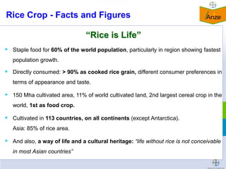 2012. chang xiang mao. hybrid rice development in and outside china | PDF
