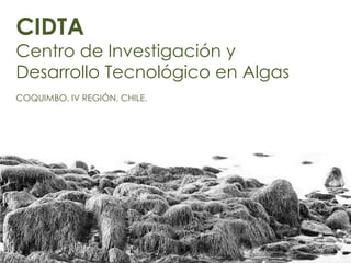 CIDTA
Centro de Investigación y
Desarrollo Tecnológico en Algas
COQUIMBO, IV REGIÓN, CHILE.
 