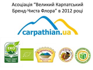 Асоціація “Великий Карпатський
Бренд-Чиста Флора” в 2012 році

 