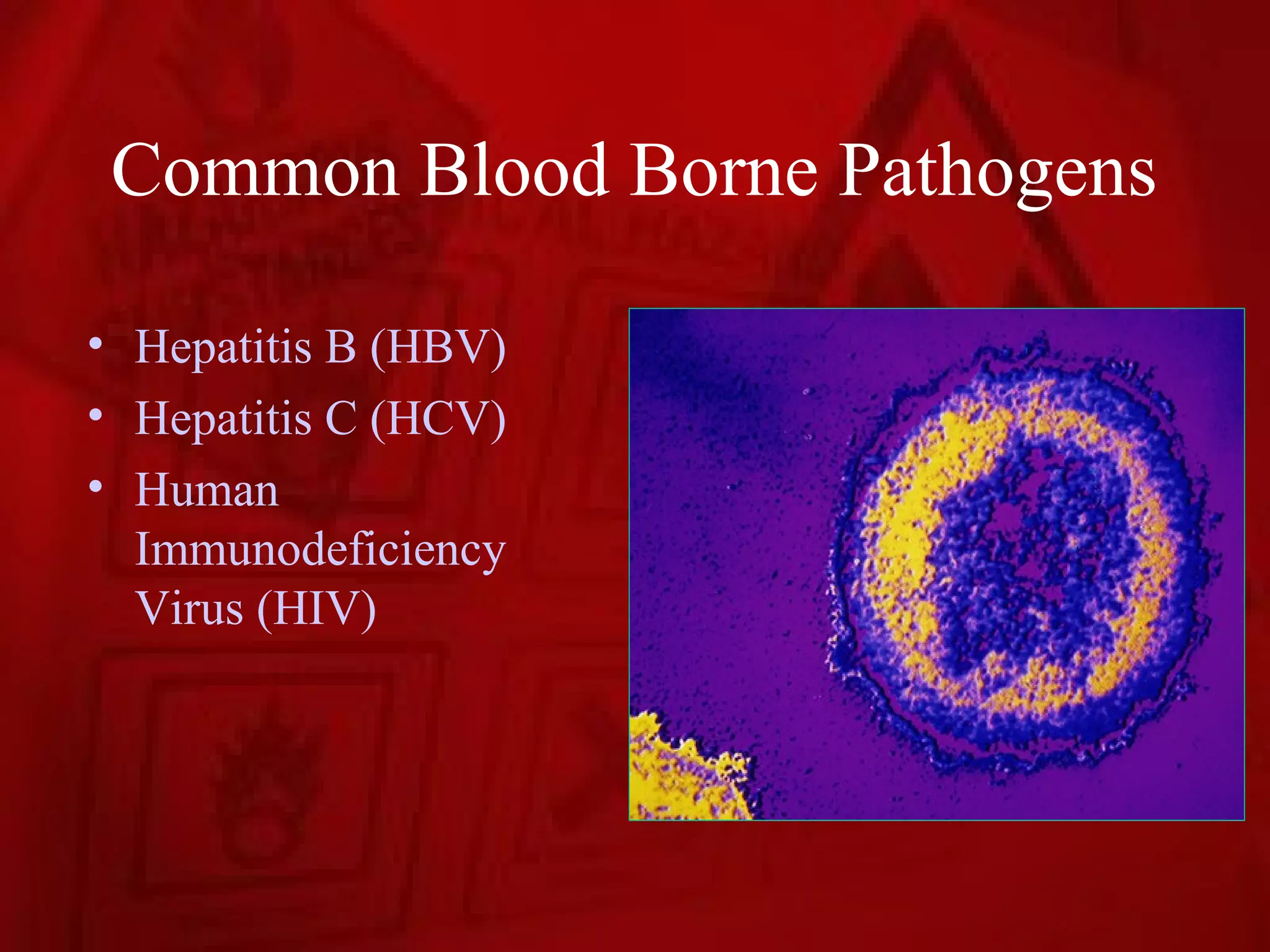 Common Blood Borne Pathogens

• Hepatitis B (HBV)
• Hepatitis C (HCV)
• Human
  Immunodeficiency
  Virus (HIV)
 