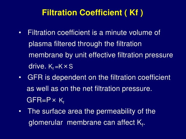 2012 416 renal physiology