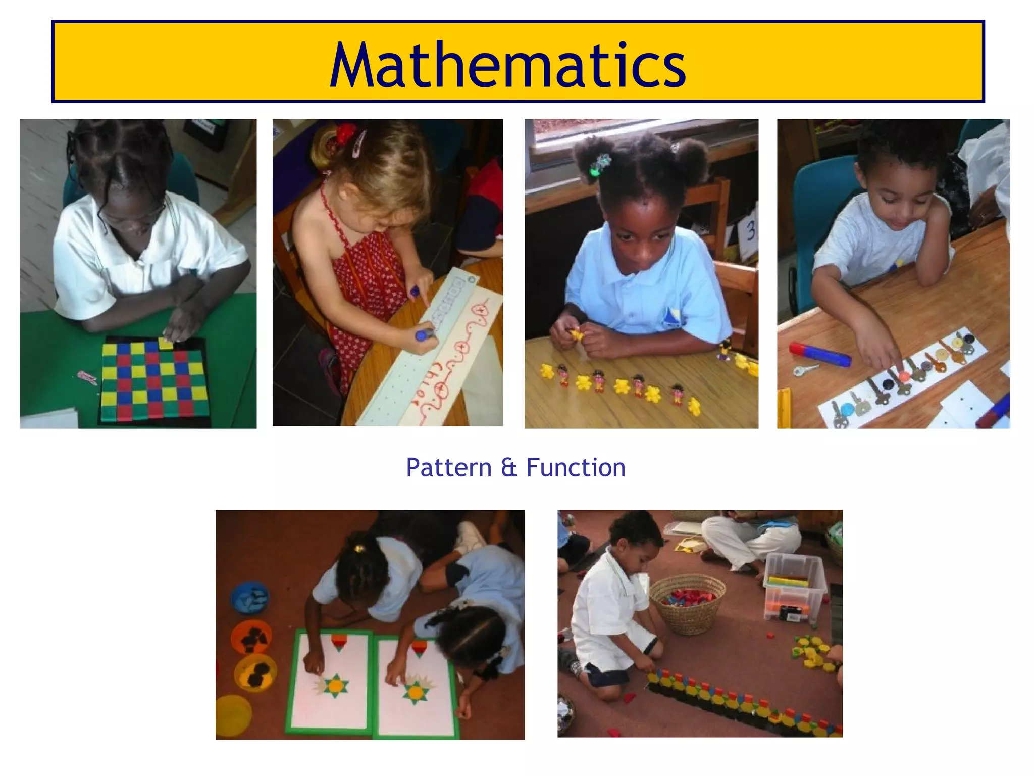 Mathematics




  Pattern & Function
 