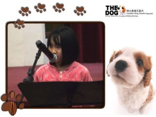 新興文教中文學校2012.9.8中高年級講故事比賽