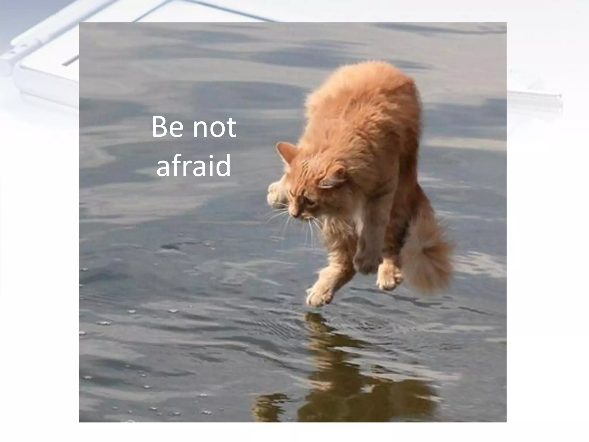 Be not
afraid
 