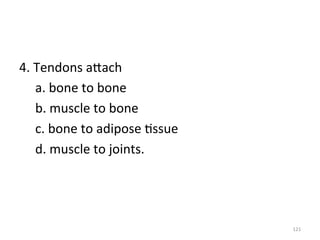 4.	
  Tendons	
  aGach	
  
	
   	
  a.	
  bone	
  to	
  bone	
  
	
  b.	
  muscle	
  to	
  bone	
  
	
  c.	
  bone	
  to	
  adipose	
  (ssue	
  
	
  d.	
  muscle	
  to	
  joints.	
  

121	
  

 