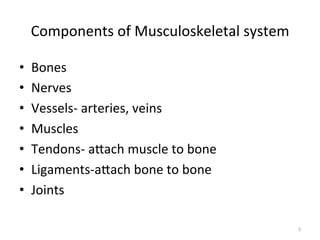 Components	
  of	
  Musculoskeletal	
  system	
  
• 
• 
• 
• 
• 
• 
• 

Bones	
  
Nerves	
  
Vessels-­‐	
  arteries,	
  veins	
  
Muscles	
  
Tendons-­‐	
  aGach	
  muscle	
  to	
  bone	
  
Ligaments-­‐aGach	
  bone	
  to	
  bone	
  
Joints	
  
5	
  

 