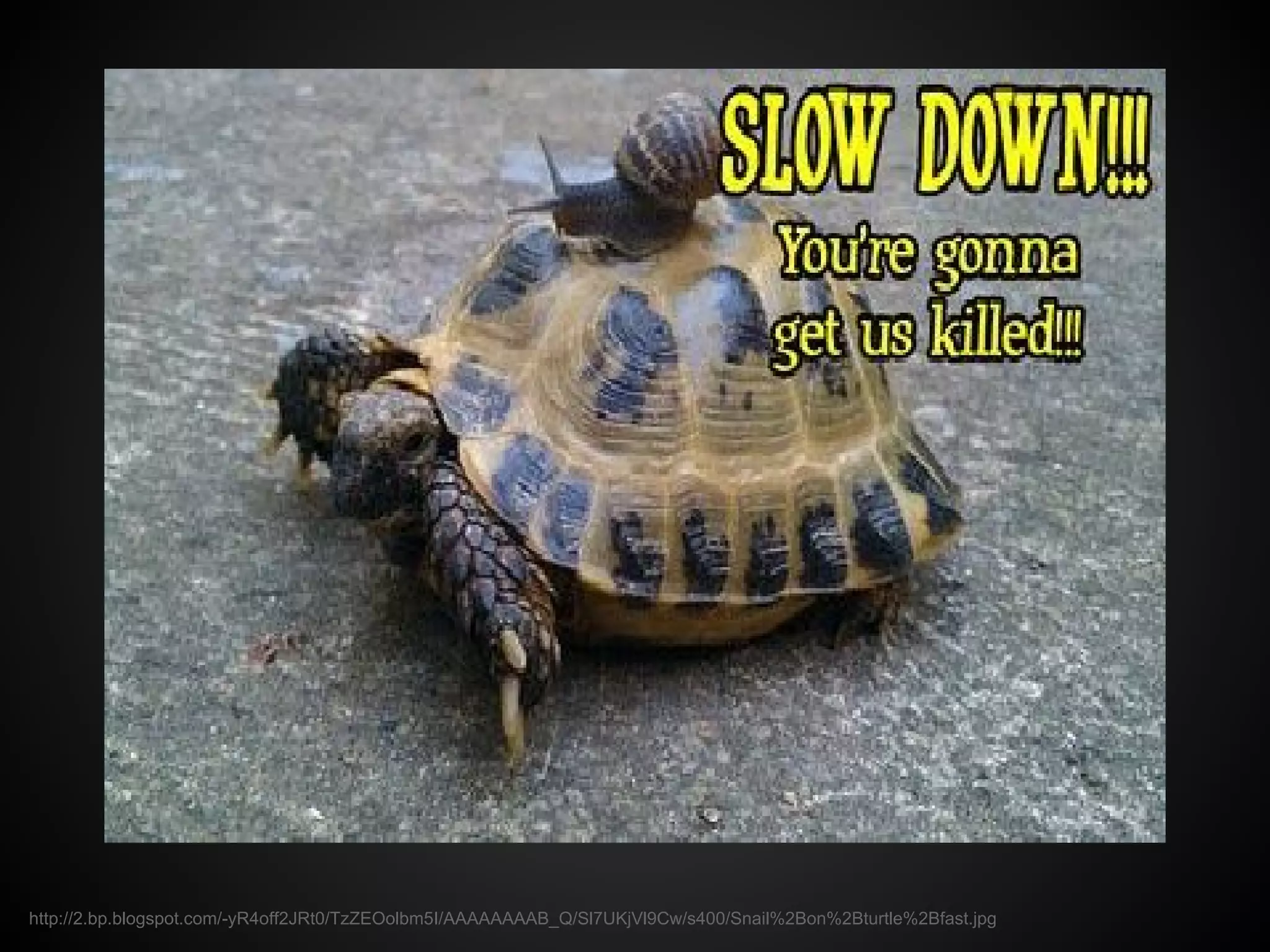 http://2.bp.blogspot.com/-yR4off2JRt0/TzZEOolbm5I/AAAAAAAAB_Q/Sl7UKjVl9Cw/s400/Snail%2Bon%2Bturtle%2Bfast.jpg
 