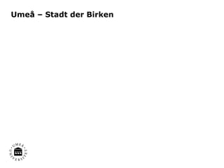 Umeå – Stadt der Birken
 