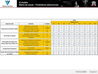O modelo
Matriz de inputs – Parâmetros operacionais
 