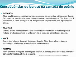 Consequências do buraco na camada de ozônio
 OCEANOS
 Mata os plânctons, microorganismos que servem de alimento a vários seres do mar.
 Os plânctons também absorvem mais da metade das emissões de CO2 do mundo. E,
 como você já sabe, esse gás é um dos principais responsáveis pelo aquecimento
 global.

 PLANTAS
 Diminui a taxa de crescimento. Isso acaba afetando também os homens porque
 reduz a produção agrícola e, junto com ela, a oferta de alimentos no planeta.

 VOCÊ
 Aumenta o número de casos de câncer de pele. Além disso, afeta o sistema
 imunológico, diminuindo a resistência a várias doenças.

 ANIMAIS
 Pode provocar mutações e alterações no DNA. A consequência disso são problemas
 como deformações, atrofia e cegueira.
                                         http://planetasustentavel.abril.com.br/noticia/ambiente/conteudo_415139.shtml
 