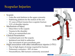 ¡  Scapula!
§  Links the axial skeleton to the upper extremity!
§  Stabilizing platform for the motion of the arm!
§  1% cases of blunt trauma have scapular fracture!
§  3-5% of shoulder injuries!
¡  Mechanism of Injury!
§  Direct blow to the scapula!
§  Trauma to the shoulder!
§  Fall on an outstretched arm!
¡  Clinical Presentation!
§  Localized pain over the scapula!
§  Ipsilateral arm held in adduction!
§  Any movement of arm exacerbates pain!
¡  High association with other intrathoracic injuries (>75%)!
§  Due to high degree of energy required for fracture!
§  Pulmonary contusion > 50% of cases!
§  Pneumothorax, Rib fractures commonly associated!
Glenoid	
  
Body	
   Neck	
  
19	
  Gray’s	
  Anatomy,	
  Wikimedia	
  Commons	
  
 