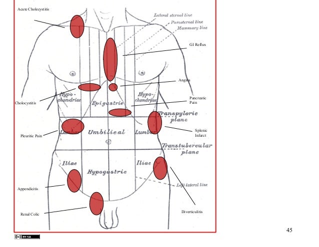 Genital Herpes in Women Symptoms and Treatment