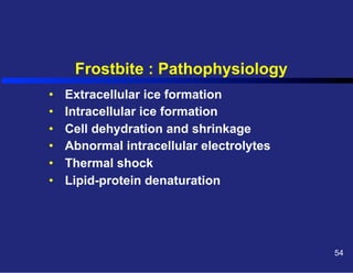 Frostbite : Pathophysiology
• 
• 
• 
• 
• 
• 

Extracellular ice formation
Intracellular ice formation
Cell dehydration and shrinkage
Abnormal intracellular electrolytes
Thermal shock
Lipid-protein denaturation

54

 