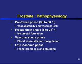 Frostbite : Pathophysiology
o

•  Pre-freeze phase (38 to 50 F)
•  Vasospasticity and vascular leak
o

•  Freeze-thaw phase (5 to 21 F)
•  Ice crystal formation

•  Vascular stasis phase
•  Blood vessel dilation, coagulation

•  Late ischemic phase
•  From thrombosis and shunting

55

 