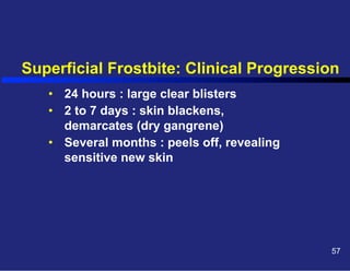 Superficial Frostbite: Clinical Progression
•  24 hours : large clear blisters
•  2 to 7 days : skin blackens,
demarcates (dry gangrene)
•  Several months : peels off, revealing
sensitive new skin

57

 