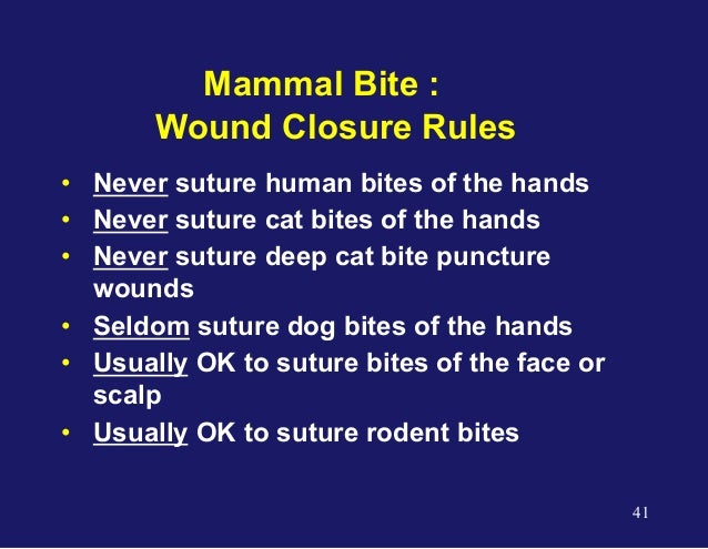 Dog Bite Antibiotic Guidelines Dog Bite Antibiotic Guidelines