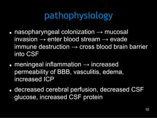 pathophysiology
n 

n 

n 

nasopharyngeal colonization → mucosal
invasion → enter blood stream → evade
immune destruction → cross blood brain barrier
into CSF
meningeal inflammation → increased
permeability of BBB, vasculitis, edema,
increased ICP
decreased cerebral perfusion, decreased CSF
glucose, increased CSF protein
10

 