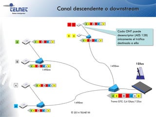 312 3 45 61
312 3 45 61
Canal descendente o downstream
© 2014 TELNET-RI
1
2
3
5
312 3 45 61
4
6
312 3 45 61
312 3 45 61
312 3 45 61
312 3 45 61
3
1
Trama GTC: 2,4 Gbps/125us
Cada ONT puede
desencriptar (AES 128)
únicamente el tráfico
destinado a ella
125us
1490nm
1490nm
1490nm
 