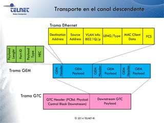 Transporte en el canal descendente
GEM
Header
GEM
Header
GEM
Payload
GEM
Payload
GEM
Payload
Destination
Address
FCSSource
Address
VLAN info
802.1Q/p
LENG/Type MAC Client
Data
GEM
Header
Payload
Lenght
Port-ID
Payload
Type
HEC
Trama Ethernet
Trama GEM
Trama GTC
GTC Header (PCBd. Physical
Control Block Downstream)
Downstream GTC
Payload
© 2014 TELNET-RI
 