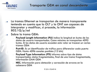 Transporte GEM en canal descendente
La tramas Ethernet se transportan de manera transparente
teniendo en cuenta que la OLT y la ONT son capaces de
interpretar y modificar, si procede, la información
802.1Q/p/ad
Sobre la trama GEM:
– Payload Length Information (PLI) indica la longitud en bytes de los
datos de usuario transportados. Como máximo se transportan 4095
bytes. Si los datos de usuario exceden este valor se trocean un varias
tramas GEM
– Port-ID. Es un identificador de tráfico para diferenciar cada puerto
GEM. Hasta 4096 canales posibles (12 bits)
– Payload Type Information (PTI) informa sobre tipo de datos
transportados: datos fragmentados, final de una trama fragmentada,
información OAM GEM
– HEC. Información para detección y corrección de errores en la
cabecera GEM
© 2014 TELNET-RI
 